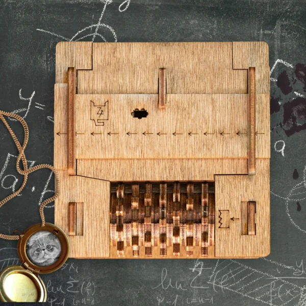CLUEBOX SCHRODINGER´S CAT - Imagen 2